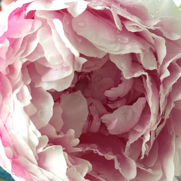 Meet your Posher, Stephanie - Picture 1 of 1